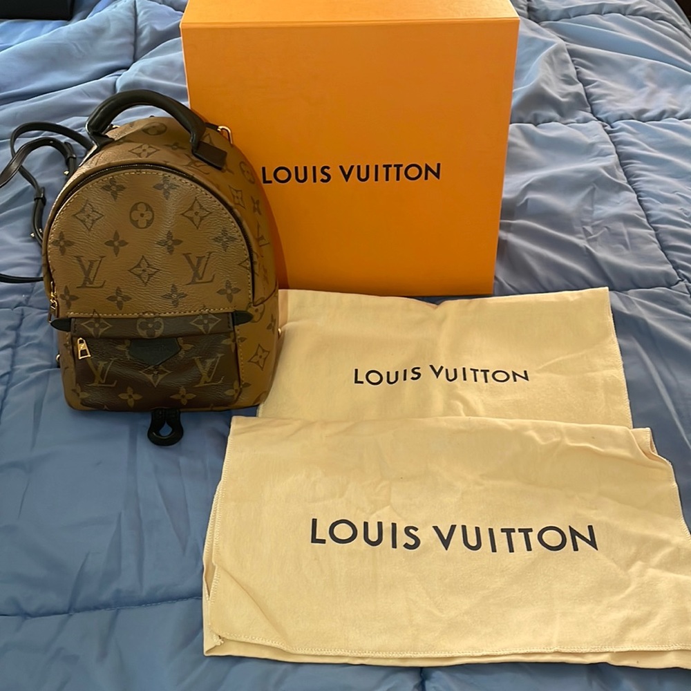 Louis Vuitton Palm Springs mini